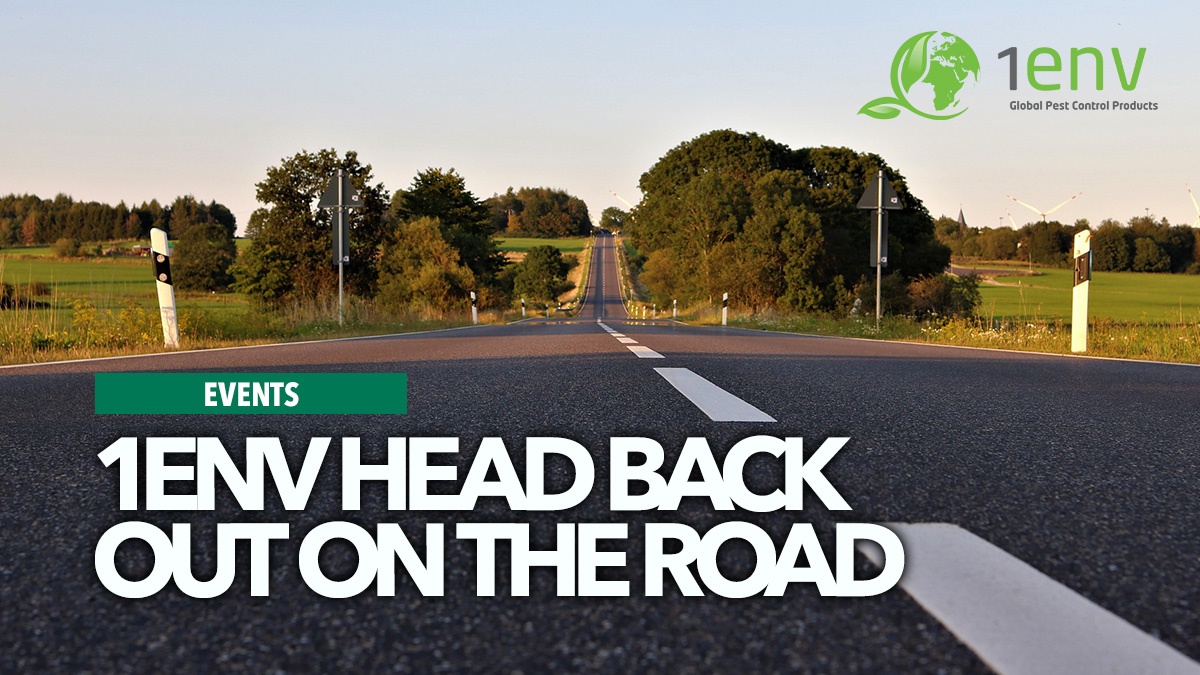 1envheadbackoutontheroad icon 1envheadbackoutontheroad icon